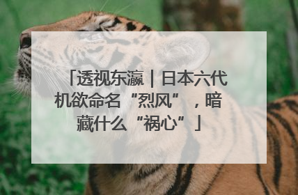 透视东瀛｜日本六代机欲命名“烈风”，暗藏什么“祸心”
